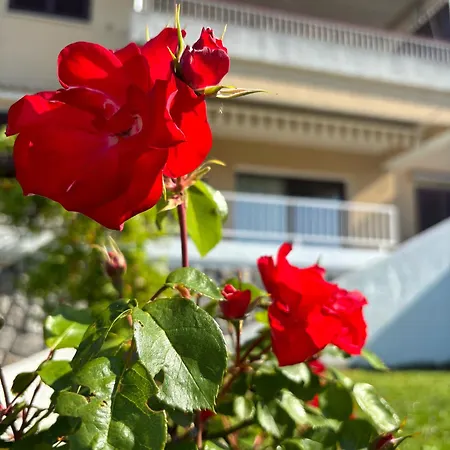 아파트 Va 카스타브