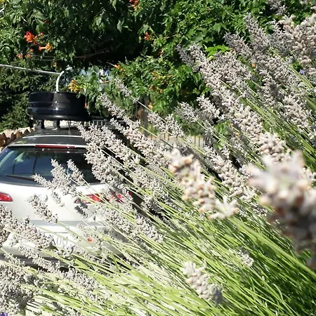 شقة Va كاستاف